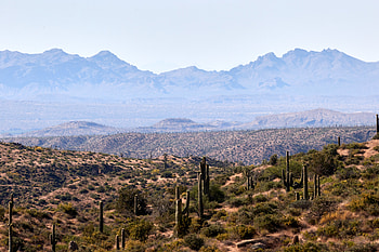 Nature, Cactuses, Mountains, Prairie, Dahl, Distance HD wallpaper