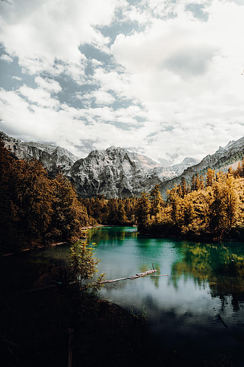Nature, Trees, Mountains, Rocks, Lake, Snow Covered, Snowbound HD phone wallpaper