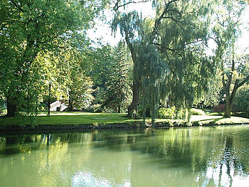 By the river, trees, river, parkland HD wallpaper