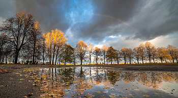 after the storm, trees, autumn, sky, rainbow HD wallpaper
