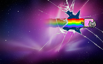 Galaxy Cat, Playful feline, Cosmic background, Astronomical wonder HD wallpaper