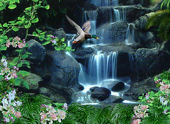 His kingdom, waterfall, flowers, bird HD wallpaper