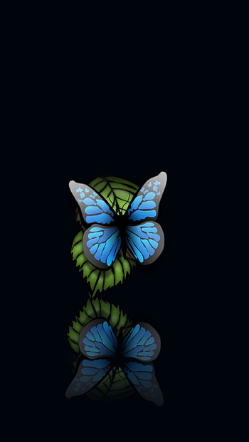 Blue Butterfly Black Background Android ... HD phone wallpaper