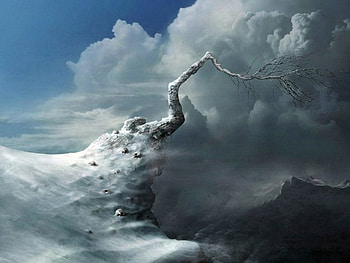 On the edge, winter, edge, snow, cold, clouds, tree HD wallpaper