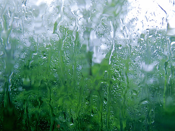 Pouring Rain, Abstract, graphy, Summer, Trees, Nature, Rain HD wallpaper