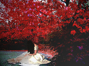 Ballerina, red, trees, girl, silk HD wallpaper