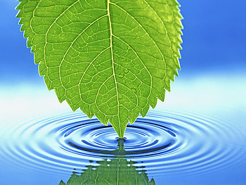 Water waves, leaf, nature, water, wave HD wallpaper
