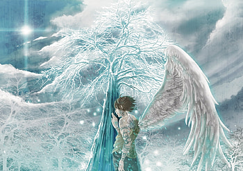 Angel, blue, fusui, wings, white, man, tree, feather, anime, fantasy, luminos, manga, guy HD wallpaper