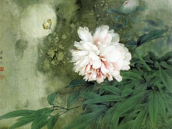 Pink Peony, asian symbol, moth HD wallpaper