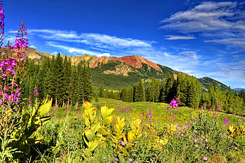 Mountainscape, colorful, peaks, nice, wildflowers, trees, greenery, hills, slope, garden, paradise, beautiful, grass, fresh, mountain, cliffs, pretty, freshness, view, clouds, nature, sky, flowers, lovely, evening HD wallpaper