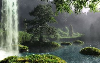 Wood, Nature, Flowers, Water, Grass, Waterfall, Tree, Flow, Stream, Reserve HD wallpaper