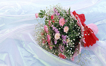 Flowers, Miscellanea, Miscellaneous, Registration, Typography, Bouquet HD wallpaper