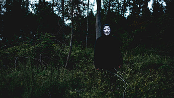 Fawkes, Iconic mask, Anonymous girl HD wallpaper