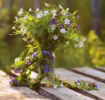 Still life, soft, nature, flowers, abstract HD wallpaper