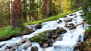 Cascading forest stream in the Rocky Mountains, Colorado, water, rocks, usa, stones, trees HD wallpaper
