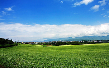 Nature, Summer, Field, Village, Japan, Plantation HD wallpaper