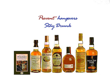 Drunk wisdom, tex, , humor, demotivation, motivation HD wallpaper