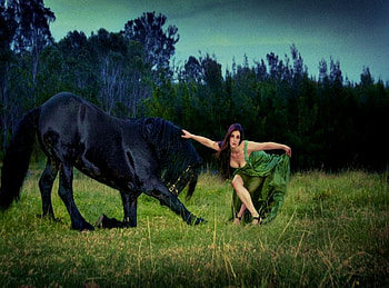 ON KNEE FRONT OF YOU .., horse, frendship, nature, friends, woman, beauty HD wallpaper