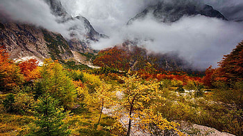 Autumn in Slovenia, rocks, fall, leaves, fog, trees, landscape, colors HD wallpaper