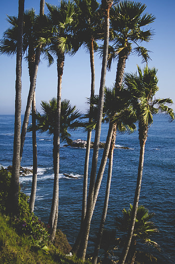 Laguna Beach, posted by Sarah, Tranquil coastal vibes HD phone wallpaper
