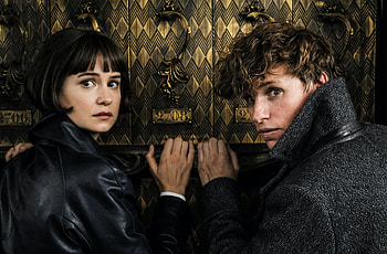 Katherine Waterston, Strong beliefs, JK Rowling controversy HD wallpaper
