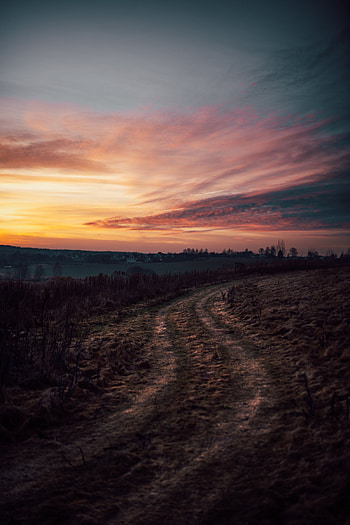 Landscape, Nature, Sunset, Twilight, Road, Dusk HD phone wallpaper