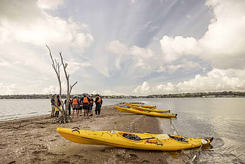 Sea kayaking, Auckland HD wallpaper