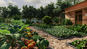 Verdant Home Vegetable Garden, garden, vegetable garden, vegetable HD wallpaper