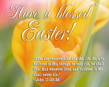 ❤, BLESSED, YELLOW, GARDEN, tulips, BRIGHT, spring, fresh, EASTER, LOVE, FLOWERS, NATURE, pretty, LIGHT, FOREVER, warm, PINK HD wallpaper