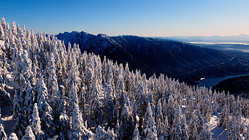 Vancouver, British Columbia, canada, snow, hills, firs, landscape, sky, forest HD wallpaper