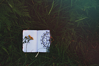 Flowers, Grass, Patterns, Miscellanea, Miscellaneous, Notepad, Notebook HD wallpaper