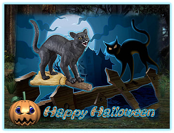 HAPPY HALLOWEEN ALL ON DN., full moon, pumpkin, cats, forest HD wallpaper