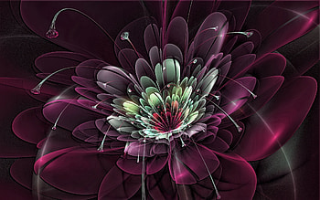 Abstract, Background, Flower, Fractal, Explosion HD wallpaper