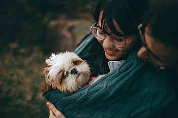 A woman lovingly cuddles her Shih Tzu puppy, wrapped in a warm blanket outdoors. HD wallpaper