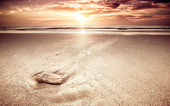 Nature, Sky, Sea, Beach, Sand, Shine, Light HD wallpaper