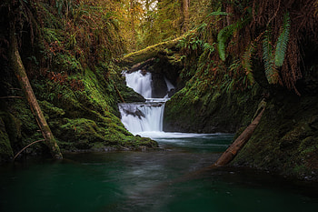 Greenery, Nature, , Waterfall, Moss, River, Waterfalls HD wallpaper
