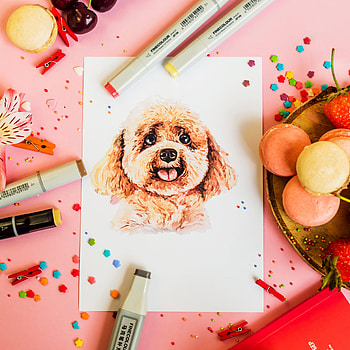 Miscellanea, Miscellaneous, Dog, , Drawing, Confetti HD phone wallpaper
