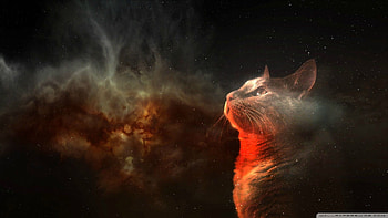 Rate this HD wallpaper