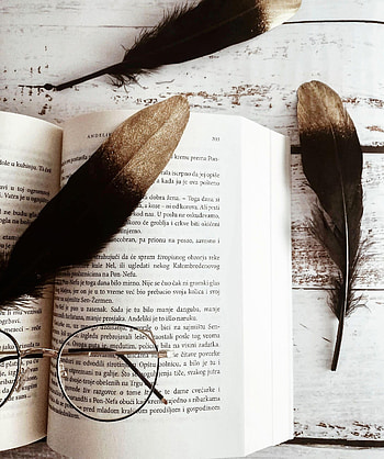 Still Life, Feather, Miscellanea, Miscellaneous, Book, Glasses, Spectacles HD phone wallpaper