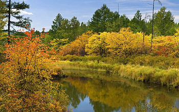Nature, Rivers, Trees, Autumn, Bush, Reflection HD wallpaper