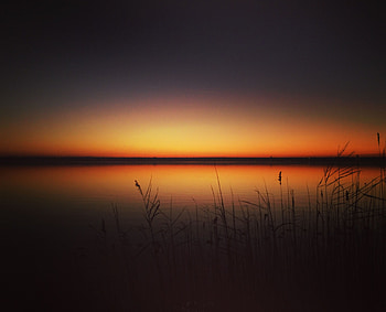 Nature, Sunset, Grass, Horizon, Lake HD wallpaper