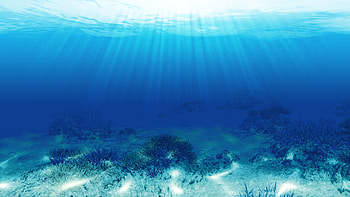 Endless Ocean HD wallpaper