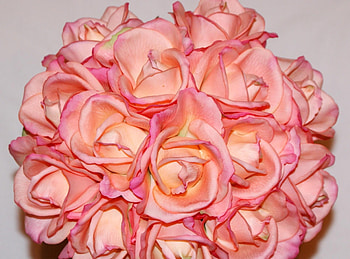 Flowers, Roses, Petals, Close-Up, Bouquet, Ball HD wallpaper