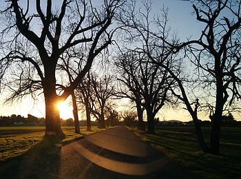 Nature, Trees, Sunset, Road, Asphalt HD wallpaper
