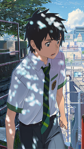Your Name., Taki Tachibana, Mitsuha Miyamizu, Anime HD phone wallpaper
