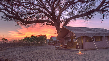 AndBeyond Chobe Under Canvas, Luxury safari, Authentic experience, Botswana adventure HD wallpaper
