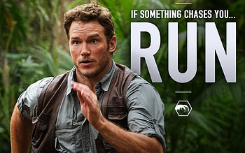 Chris Pratt, High quality , Stunning visuals, Hollywood actor HD wallpaper