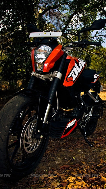 Ktm Duke 200, Forest Background, forest, background HD phone wallpaper