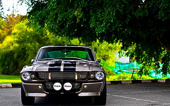 Transport, Auto, Mustang HD wallpaper