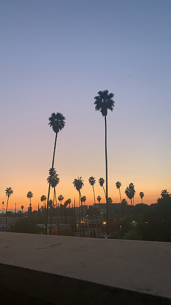Riverside, California, Local influencer, Community supporter HD phone wallpaper